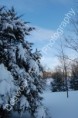 /album/photogallery/dsc-0020-watermarked-jpg/